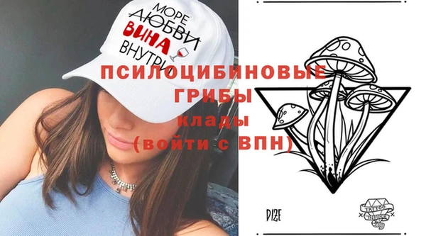 ПСИЛОЦИБИНОВЫЕ ГРИБЫ Нязепетровск