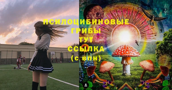 эйфоретик Заводоуковск