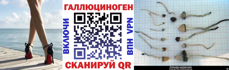 Галлюциногенные грибы Psilocybine cubensis  Купить  Изобильный 