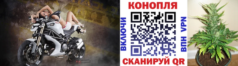 Купить закладки Изобильный Канабис Amnesia